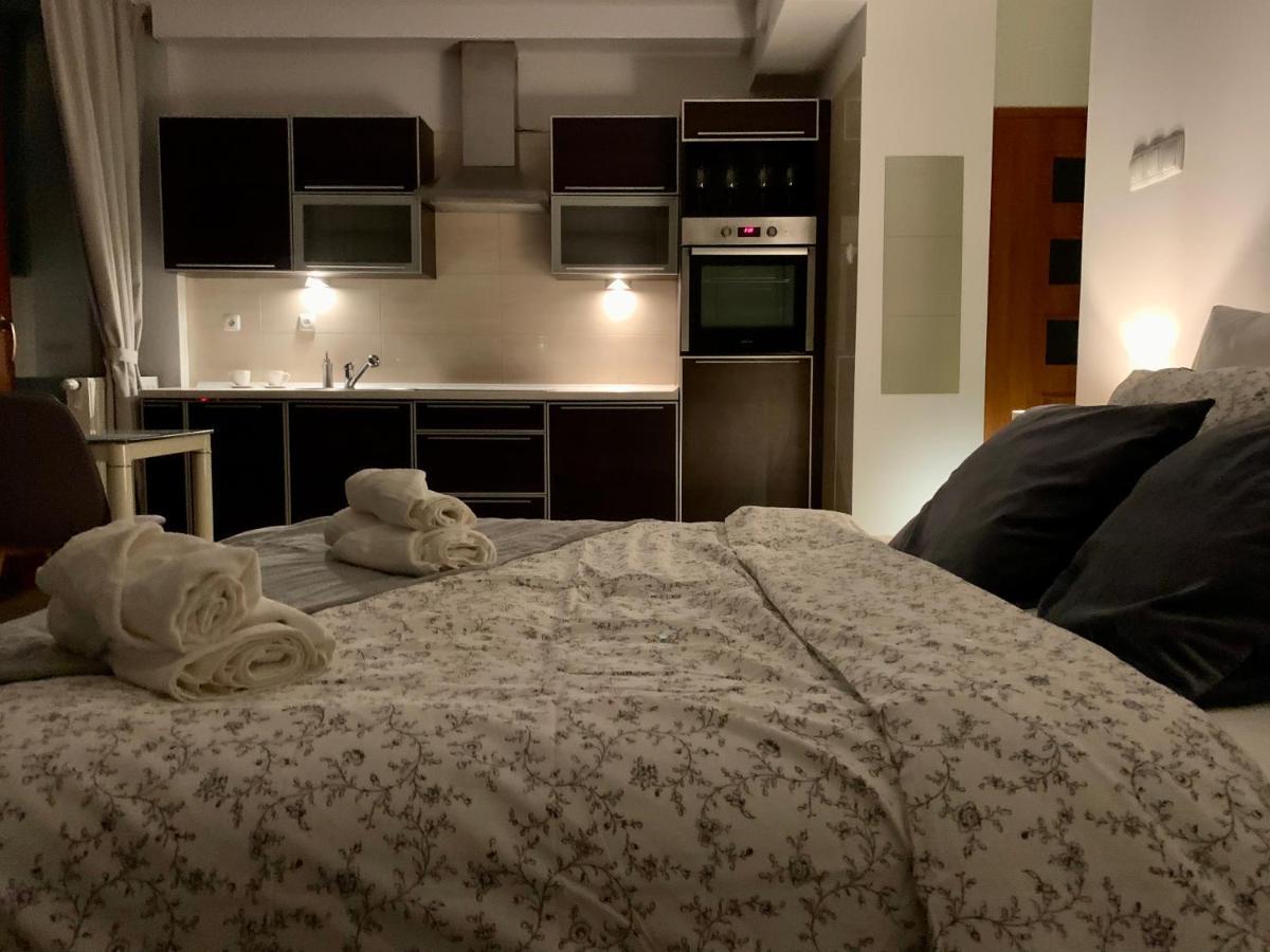 City View Wellness Apartment Swim&Steam&Relax Cracovia Exterior foto